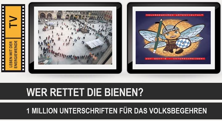 WER rettet die Bienen?
